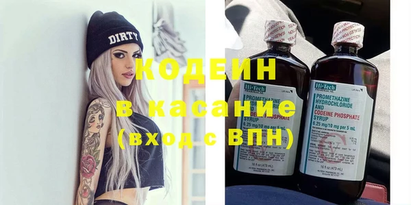 индика Каменногорск