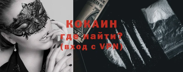 индика Каменногорск