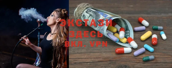 стаф Каменка