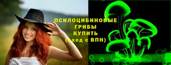 стаф Каменка