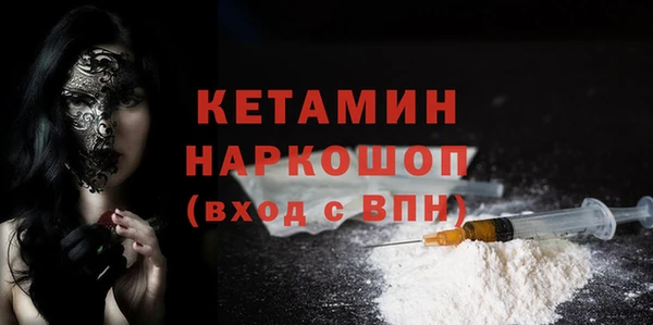 индика Каменногорск