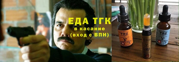 стаф Каменка