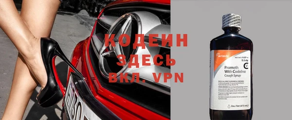 индика Каменногорск