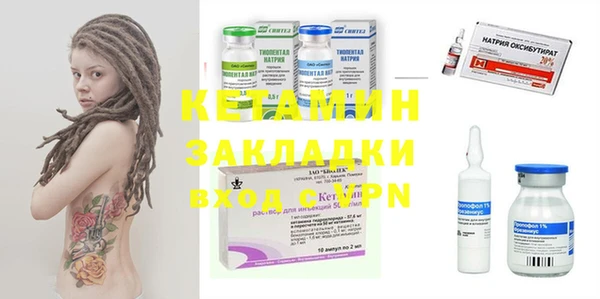стаф Каменка
