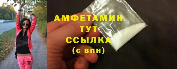 стаф Каменка