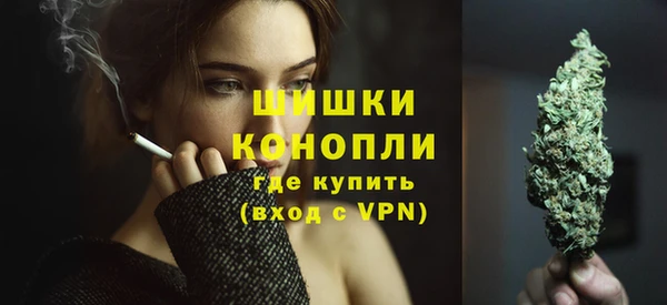 индика Каменногорск