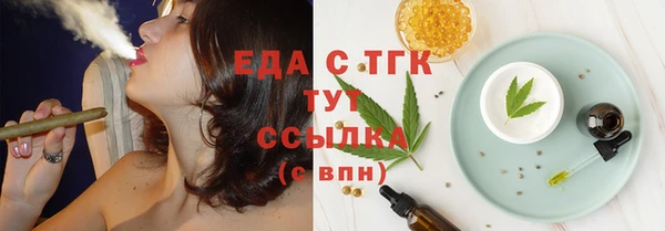стаф Каменка