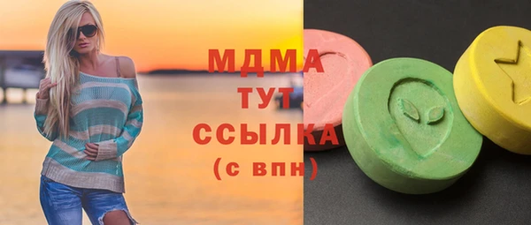 индика Каменногорск