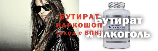 индика Каменногорск