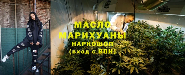 индика Каменногорск