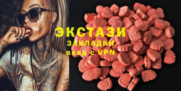 стаф Каменка