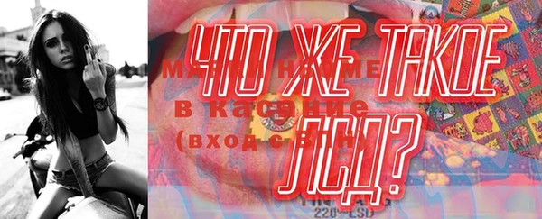 стаф Каменка