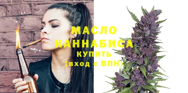 индика Каменногорск
