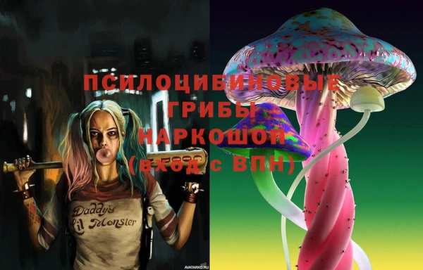 стаф Каменка