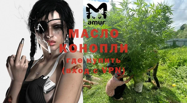 индика Каменногорск
