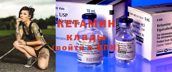 индика Каменногорск