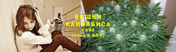 стаф Каменка