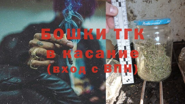 индика Каменногорск