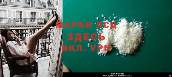 стаф Каменка