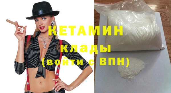 стаф Каменка