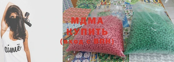 стаф Каменка