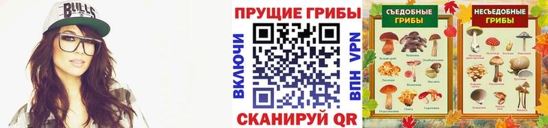 Псилоцибиновые грибы Magic Shrooms Купить Рудня