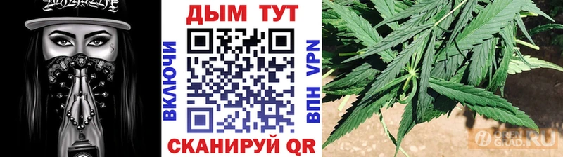 Купить где  Рудня  Бошки Шишки OG Kush 